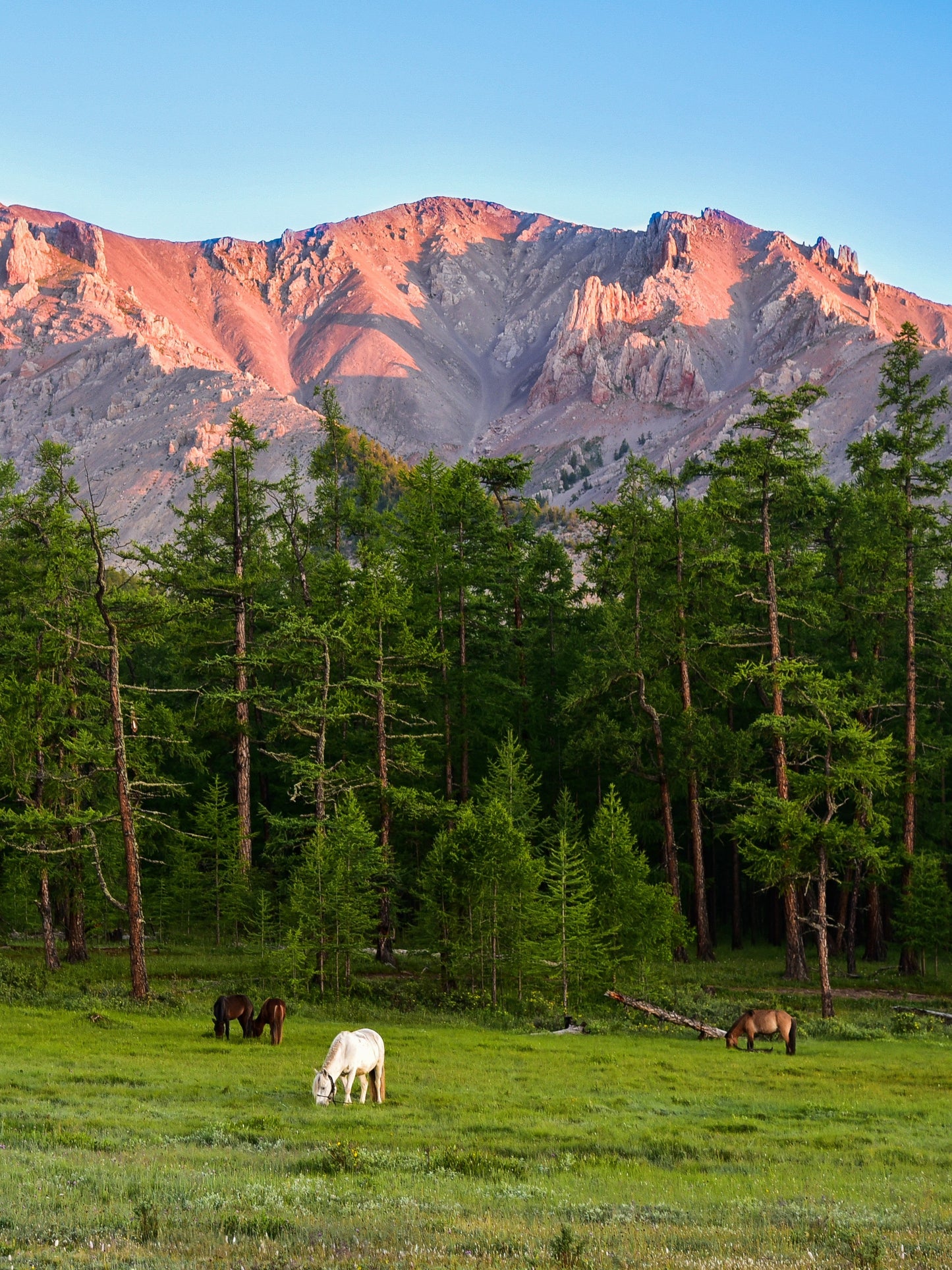 Khoridol Saridag Mountains (Хорьдол Сарьдагийн нуруу)